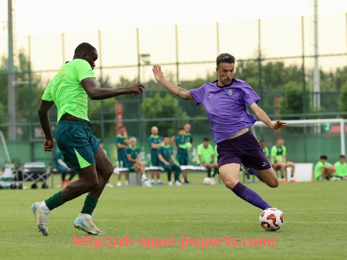 江南体育APP-法甲赛季数据的深度解读:对法甲赛季关键数据的深入分析与解读