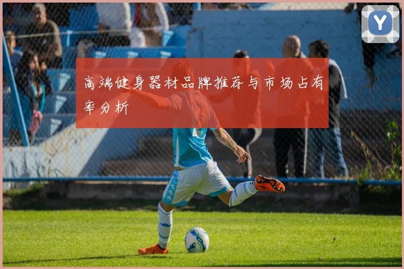 高端健身器材品牌推荐与市场占有率分析