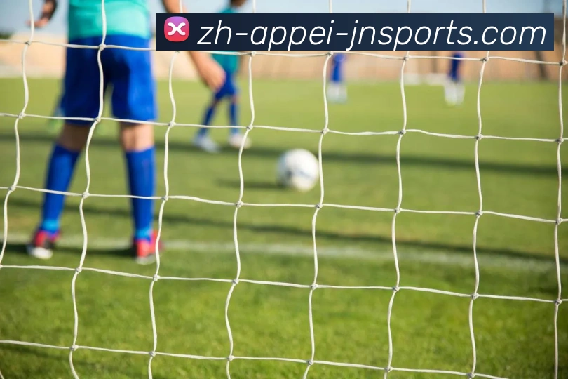 App Interface Preview